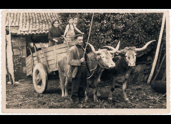 Familia Vila co carro de bois para realizar faenas agrícolas. / Foto Balbino Ramírez [1940-1960 (?)] / PROCEDENCIA: Recollida Budiño. Album familiar Mª Carmen Lemos Domínguez