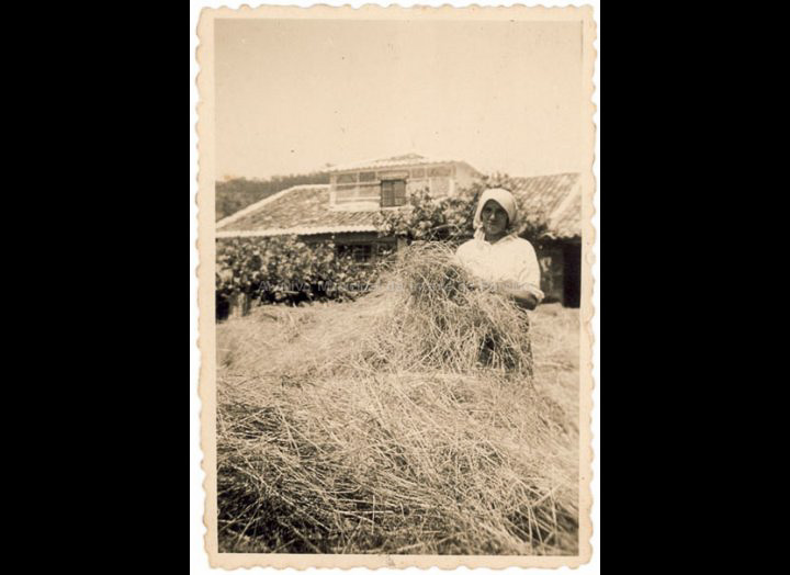 Mallando a herba. / Autor descoñecido [1940-1960 (?)] / PROCEDENCIA: Recollida Budiño. Album familiar Benita Ramilo Pichel